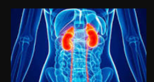 Odisha to become India’s first state with a comprehensive CKD registry