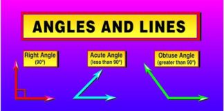 Lines & Angles – Brief Description