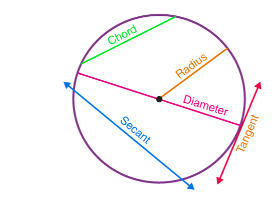 ⭕ Circles – Brief Description