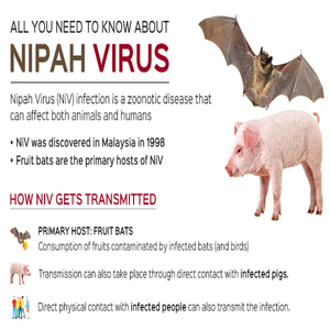 Two suspected Nipah virus cases were detected at the Virus Research and Diagnostic Laboratory, AIIMS Kalyani (West Bengal). Navi Mumbai International Airport